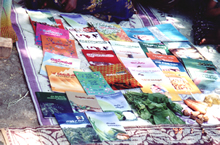 Village women in a reading group