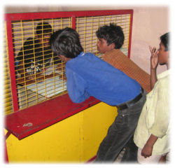 Children undertaking transactions at the Children's Development Bank